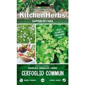 Kitchen Herbs - Ceerfoglio Comune - Sem. Dotto