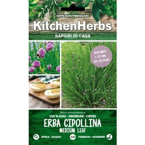 Kitchen Herbs - Chives Medium Leaf - Sem. Dotto