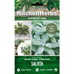Kitchen Herbs - Sage - Sem. Dotto