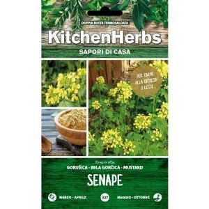Kitchen Herbs - Mustard - Sem. Dotto