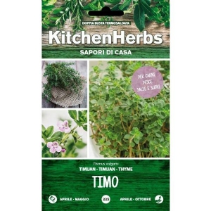 Kitchen Herbs - Common Thyme - Sem. Dotto