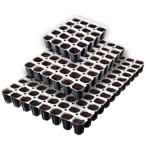 Spongepot Germination Tray