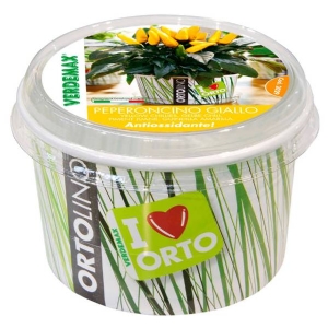 Cultivation Kit ORTOLINO - Yellow Chili Pepper by Verdemax