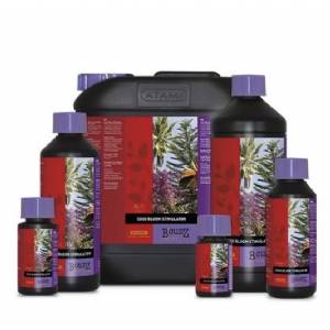 Atami - B Cuzz COCO Bloom Stimulator