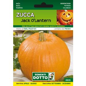 Sementi da Orto - Jack O Lantern Pumpkin - Sem. Dotto