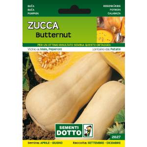 Sementi da Orto - Butternut Pumpkin - Sem. Dotto