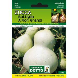 Sementi da Orto - Pumpkin Bottle with large flowers - Sem. Dotto