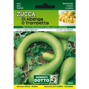 Sementi da Orto - Pumpkin of Albenga or Trombetta - Sem. Dotto