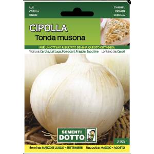 Sementi da Orto - Round Onion Musona - Sem. Dotto