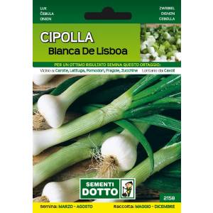Sementi da Orto - Lisbon White Onion - Sem. Dotto
