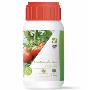 Vebi - Bio Soya Lecithin 100gr