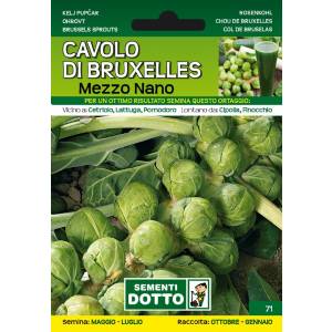 Sementi da Orto - Brussels cabbage Half Nano - Sem. Dotto