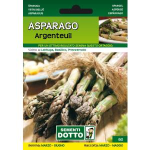 Sementi da Orto - Asparagus Argenteuil - Sem. Dotto