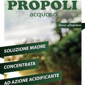 Aqueous Propolis - Idroluppolo