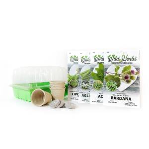 Wild herbs kit - Seeds, Jiffy, Pots and greenhouse