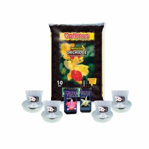Orchid Kit - Pots, Nutrients and Soil