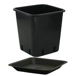 Square pot with saucer 6.5L