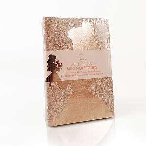 3 Mini notebooks Disney Princesses