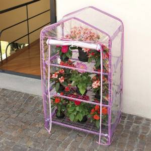 Azalea greenhouse 3 shelves cm 70x50xh125, cover included lilac color - Verdemax