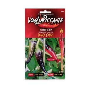 VogliaPiccante - Black Fangs - Sem. Dotto