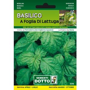 Vegetable seeds - Lettuce leaf basil - Sem. Dotto