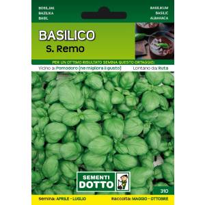 Vegetable Seeds - Basil San Remo - Sem. Dotto
