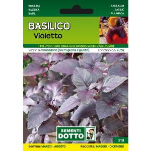 Vegetable Seeds - Violet Basil - Sem. Dotto