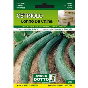Vegetable Seeds - Longo Cucumber from China - Sem. Dotto