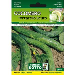 Vegetable Seeds - Cucumber Watermelon Dark Tortarello - Sem. Dotto