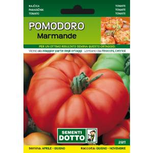 Vegetable Seeds - Marmande Tomato - Sem. Dotto