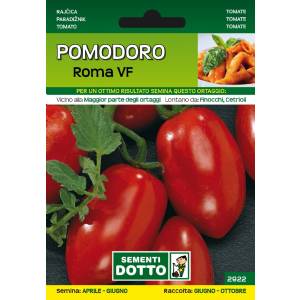 Vegetable seeds - Tomato Roma VF - Sem. Dotto