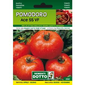 Vegetable Seeds - Tomato Ace 55 VF - Sem. Dotto