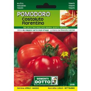 Vegetable Seeds - Costoluto Fiorentino Tomato - Sem. Dotto