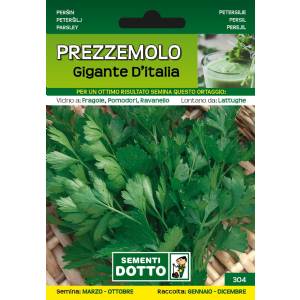 Vegetable Seeds - Giant Parsley of Italy - Sem. Dotto