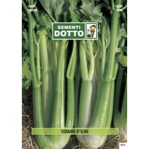 Vegetable Seeds - Celery D  Elne - Sem. Dotto