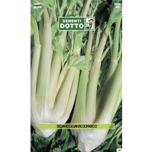 Vegetable Seeds - Golden Giant Celery 2 - Sem. Dotto