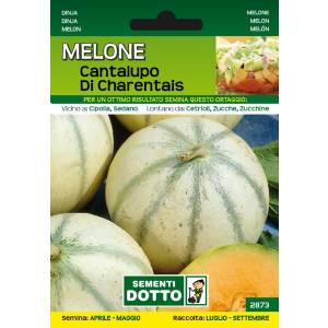 Sementi da Orto - Cantaloupe of Charentais melon - Sem. Dotto