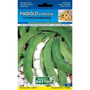 Vegetable Seeds - Spanish Bean Climbing Crown