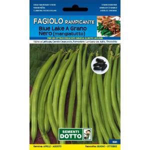 Vegetable Seeds - Blue Lake Green Bean with climbing black grain