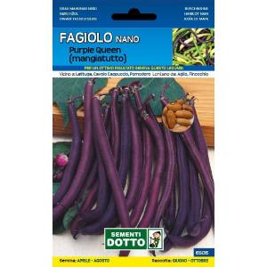 Vegetable Seeds - Purple Queen Green Bean