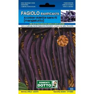 Vegetable Seeds - Purple Climbing Triumph Green Bean
