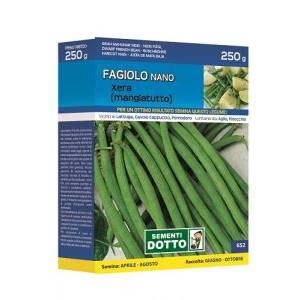 Vegetable Seeds - Xera Dwarf Green Bean