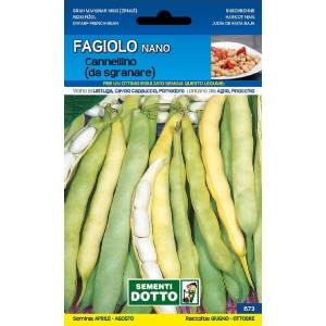 Vegetable Seeds - Cannellino Lingot Bean 250gr