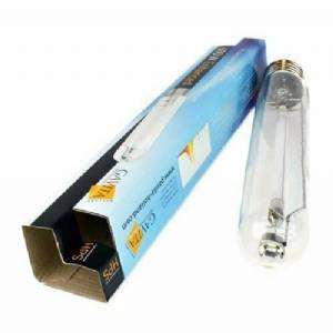 Grow Light HPS Gavita Enhanced - Bloom