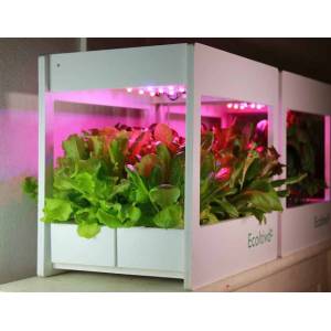 Smart Garden Ecoltivo - Home Garden