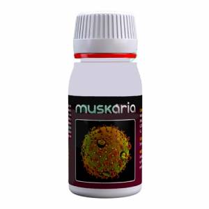 Agrobacterias - Amanitha