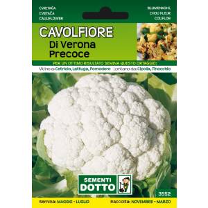 Sementi da Orto - Cauliflower Verona precoce - Sem. Dotto