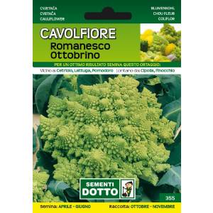 Sementi da Orto - Cauliflower Romanesco Ottobrino - Sem. Dotto