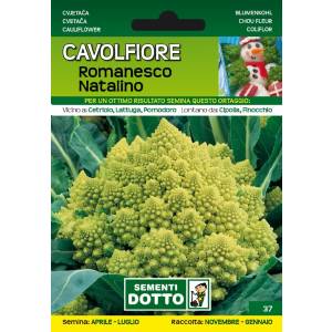 Sementi da Orto - Cauliflower Romanesco Natalino - Sem. Dotto