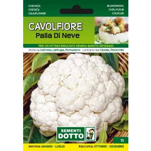 Sementi da Orto - Cauliflower Snow Ball - Sem. Dotto
